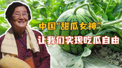 我国吃瓜大国,吃瓜大国的独特魅力与饮食文化